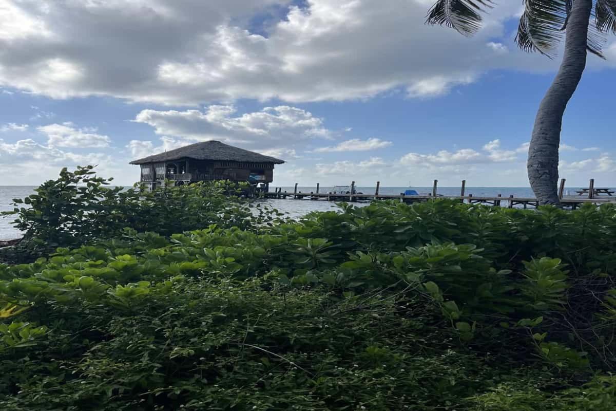 Residences At Barrier Reef 4C Oceanview 2 Bedroom By Stay Floreo San Pedro  Exterior photo