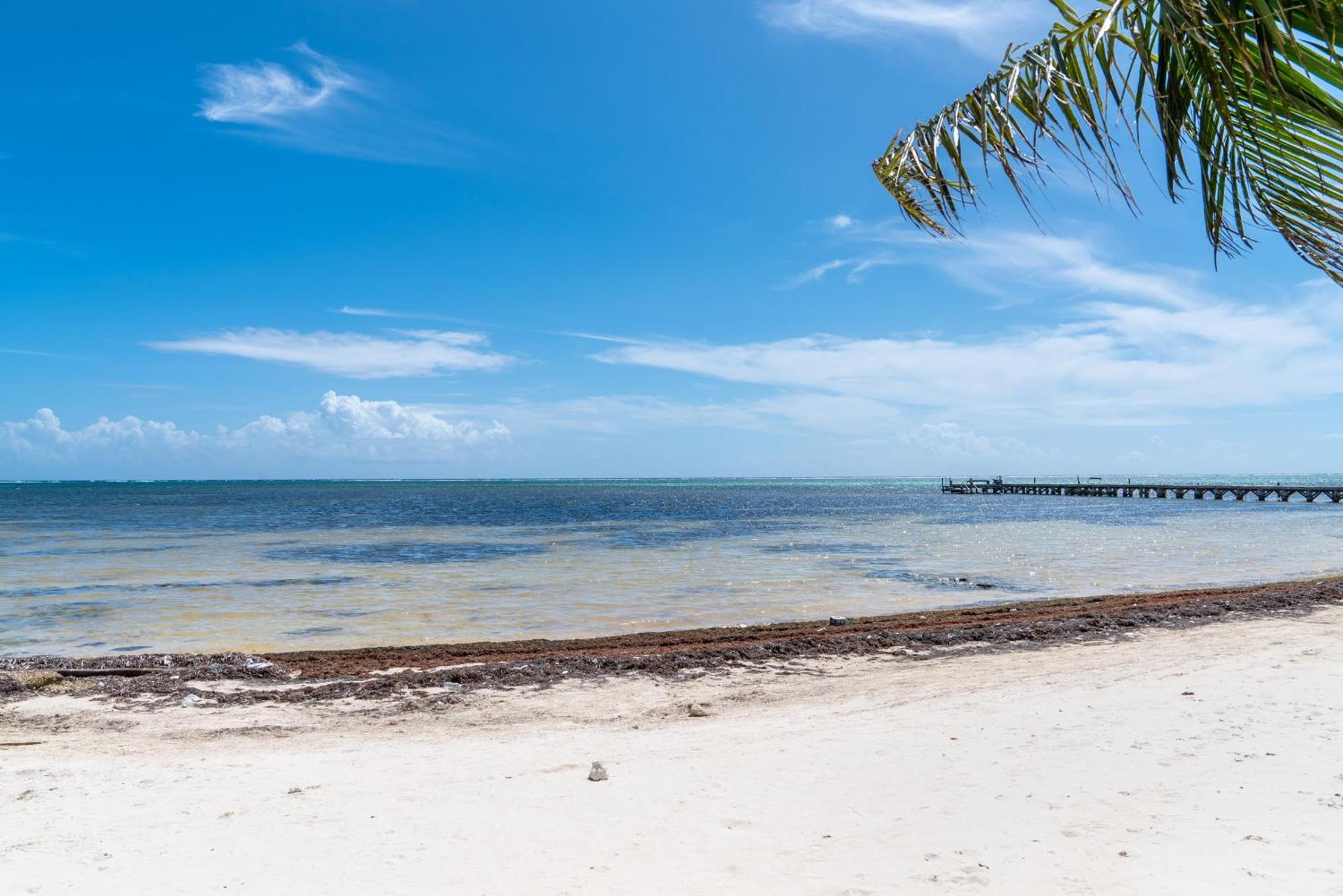 Residences At Barrier Reef 4C Oceanview 2 Bedroom By Stay Floreo San Pedro  Exterior photo